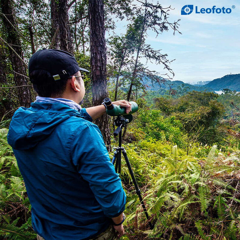 Leofoto Carbon tripod LO-224CS Mr. O + 2-way-panheads SW-02
