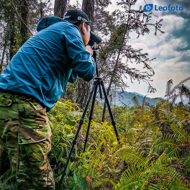 Leofoto Carbon tripod LO-224CS Mr. O + 2-way-panheads SW-02