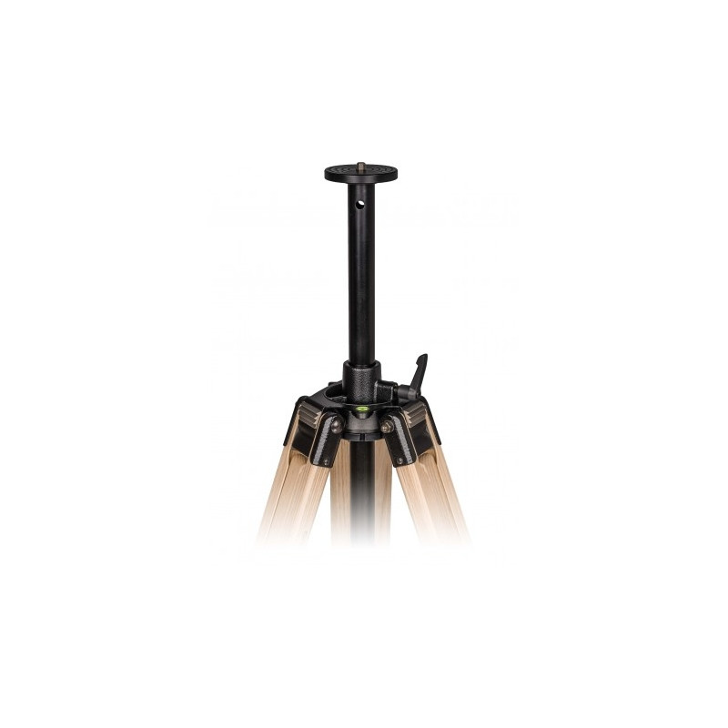 Berlebach Wooden tripod Report 222 3/8"