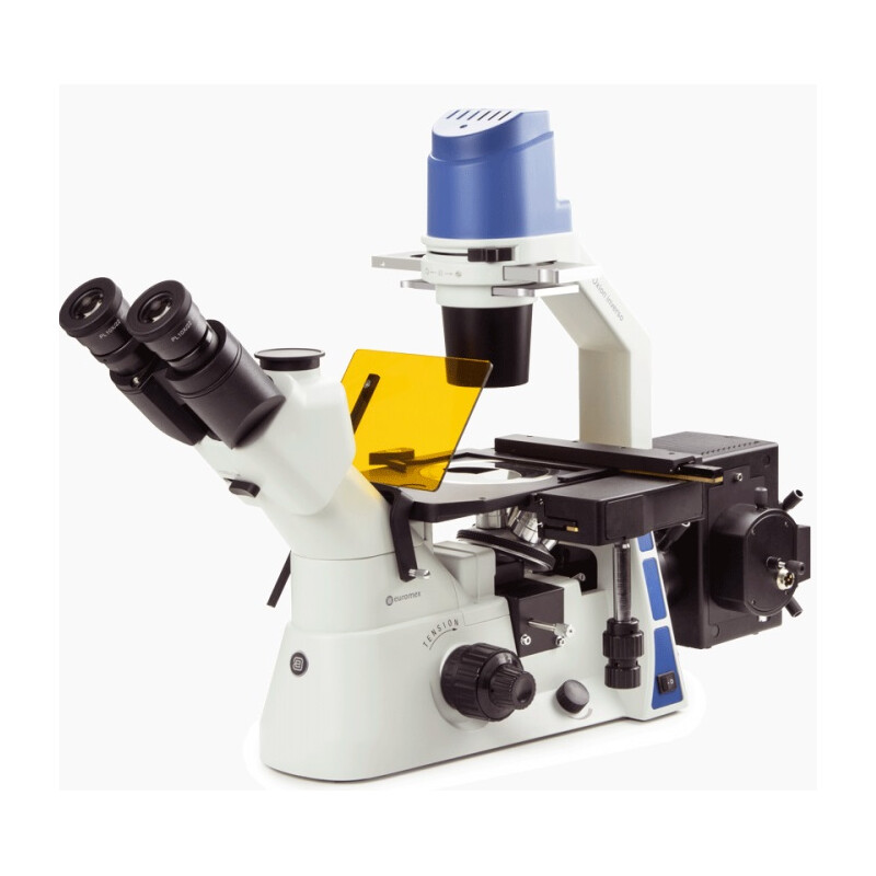 Euromex Inverted microscope OX.2453-PLPHF, trino, Infinity, plan, 100x-400x, 10x/22, Dl, LED, 5W
