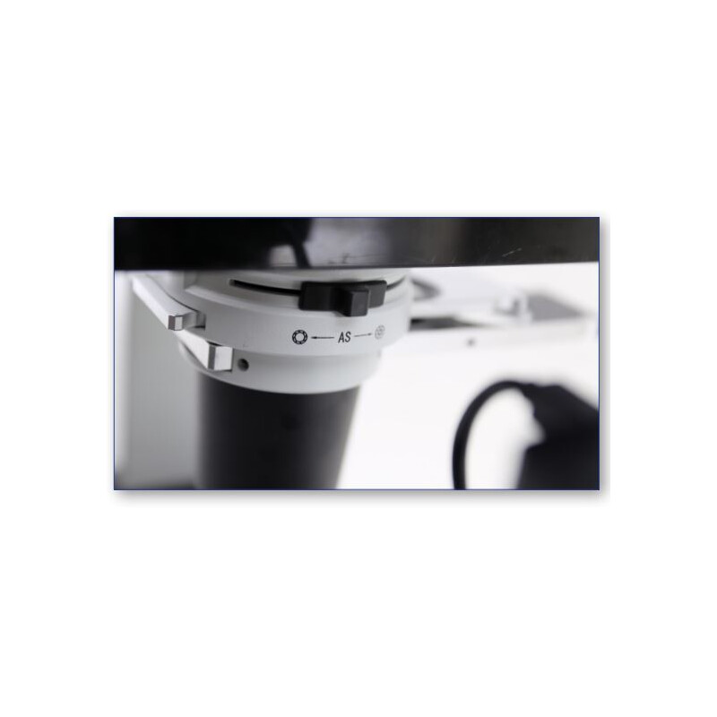 Optika Microscope IM-300D, digital, PH, 100-400x, IOS LWD W-PLAN PH, N.A. 0.3, X-LED, 6 MP, 15.6" 4K
