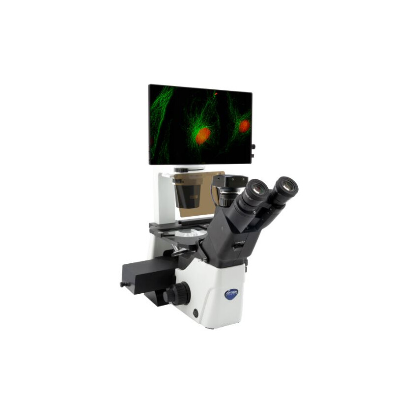 IM-300LD4D Digital Inverted LED fluorescence microscope, 400x, IOS LWD PLAN F, 4 empty filterset slots