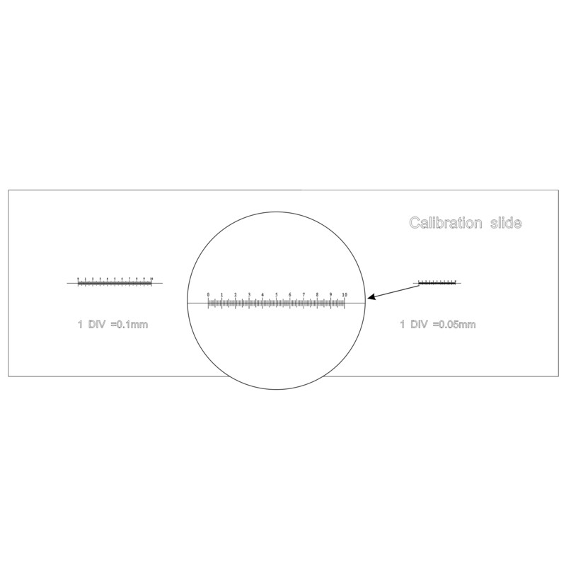 MAGUS Calibration slide CS3
