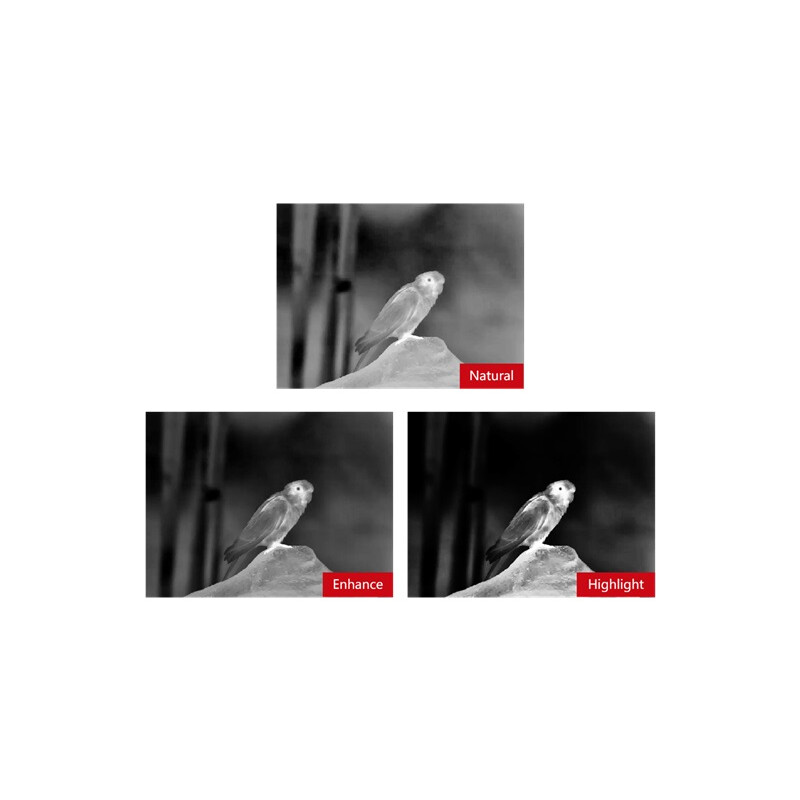 Guide Thermal imaging camera TN430