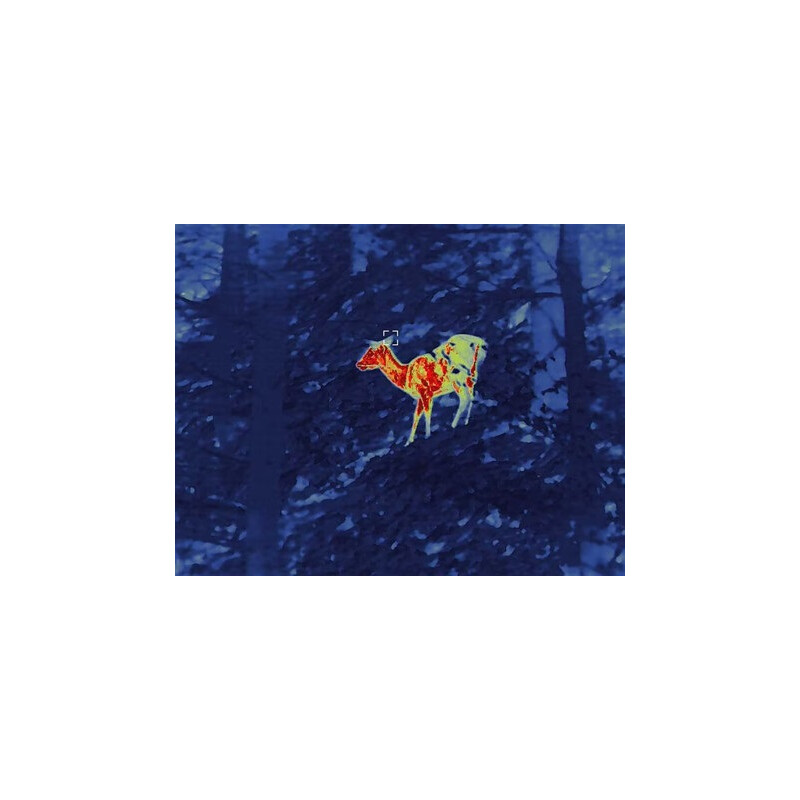 Guide Thermal imaging camera TN430