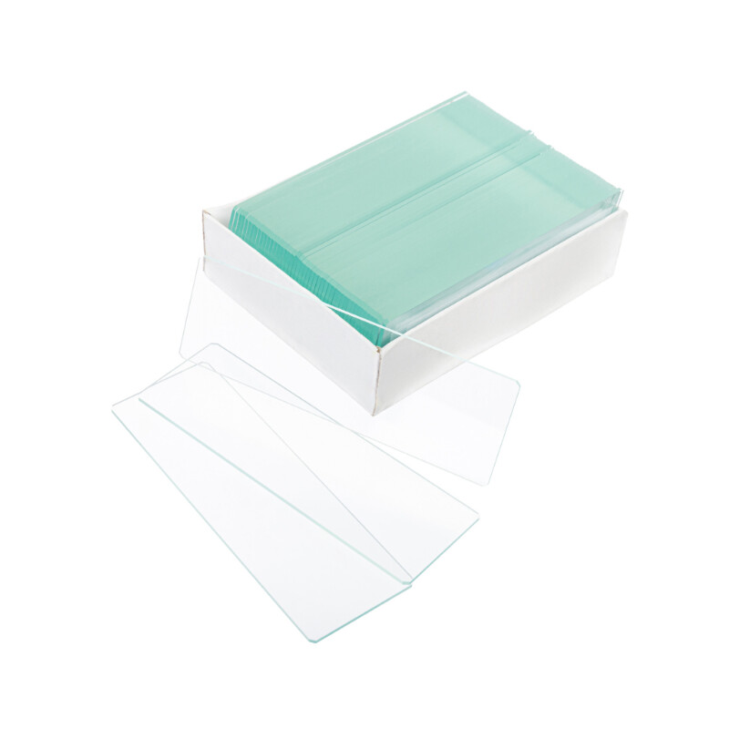 Levenhuk G50 microscope slide, 50 pieces