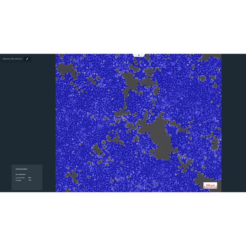 ZEISS software Labscope AI Cell Confluency DLic module