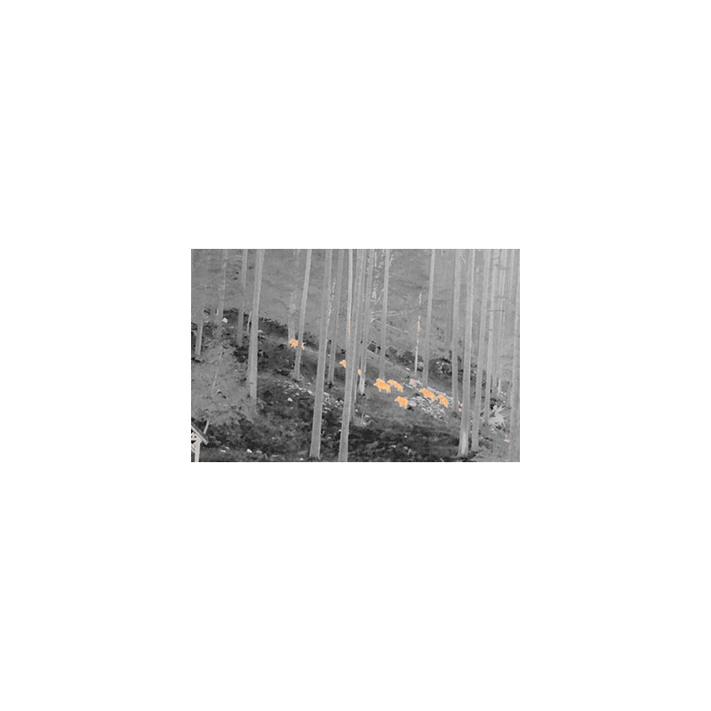 NiteHog Thermal imaging camera Viper 50 NXT