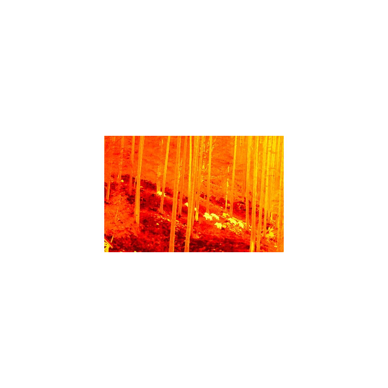 NiteHog Thermal imaging camera Viper 50 NXT