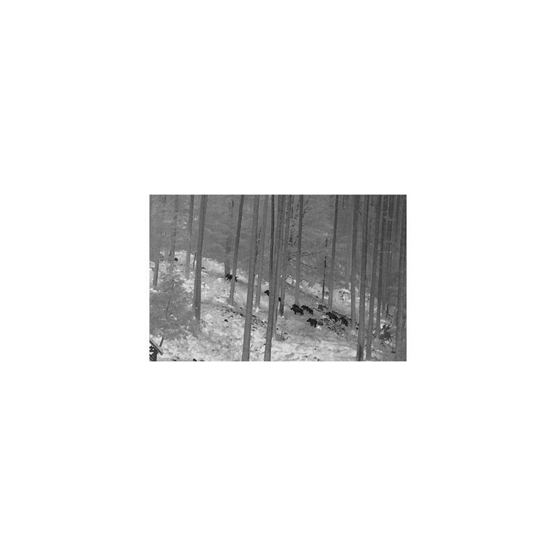 NiteHog Thermal imaging camera Viper 50 NXT
