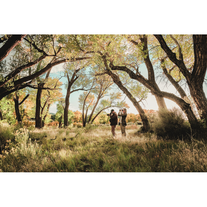 Swarovski Spotting scope AT Balance 18-45x65